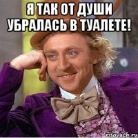 я так от души убралась в туалете! 