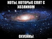 коты, которые спят с хозяином охуенны