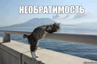 НЕОБРАТИМОСТЬ