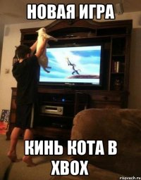 новая игра кинь кота в xbox