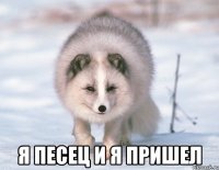  я песец и я пришел