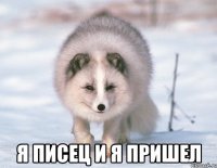  я писец и я пришел