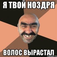 я твой ноздря волос вырастал