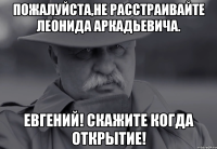 пожалуйста,не расстраивайте леонида аркадьевича. евгений! скажите когда открытие!