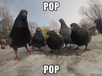 рор рор
