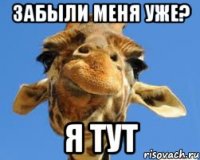 забыли меня уже? я тут