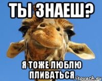 ты знаеш? я тоже люблю пливаться