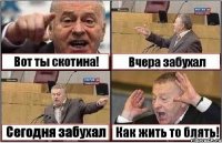 Вот ты скотина! Вчера забухал Сегодня забухал Как жить то блять!