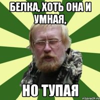 белка, хоть она и умная, но тупая