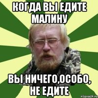 когда вы едите малину вы ничего,особо, не едите