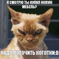 я смотрю ты купил новую мебель? надо поточить коготки:D