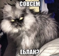 совсем еблан?