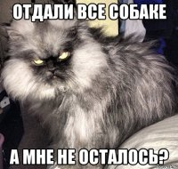 отдали все собаке а мне не осталось?