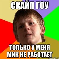 скайп гоу только у меня мик не работает