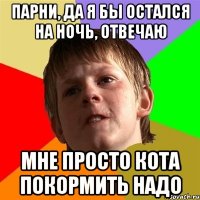 парни, да я бы остался на ночь, отвечаю мне просто кота покормить надо