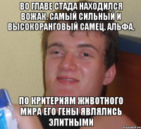 во главе стада находился вожак. самый сильный и высокоранговый самец. альфа. по критериям животного мира его гены являлись элитными