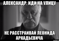 александр, иди на улицу не расстраивай леонида аркадьевича