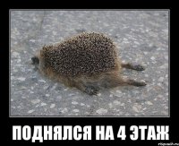 поднялся на 4 этаж