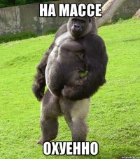 на массе охуенно