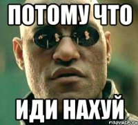 потому что иди нахуй