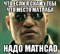 что если я скажу тебе что место матлаба надо mathcad