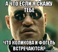 а что если я скажу тебе что коликова и фогель встречаются?