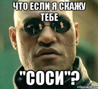 что если я скажу тебе "соси"?