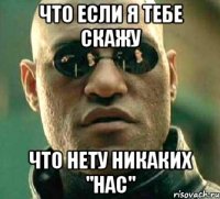 что если я тебе скажу что нету никаких "нас"