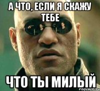 а что, если я скажу тебе что ты милый