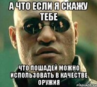 а что если я скажу тебе что лошадей можно использовать в качестве оружия