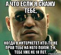 а что если я скажу тебе, когда в интернетет кто-то не прав тебе на него похуй, т.к. тебе уже не 18 лет.