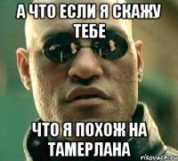 а что если я скажу тебе что я похож на тамерлана