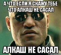 а что если я скажу тебе что алкаш не сасал алкаш не сасал