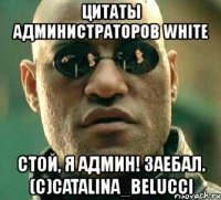 цитаты администраторов white стой, я админ! заебал. (с)catalina_belucci