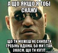 а що якщо я тобі скажу що ти можеш не скилати гребінь вдома, бо ми і так знаєм, що ти кугут