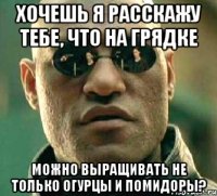 хочешь я расскажу тебе, что на грядке можно выращивать не только огурцы и помидоры?