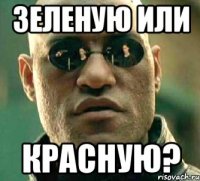 зеленую или красную?