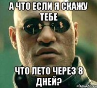 а что если я скажу тебе что лето через 8 дней?