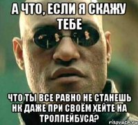 а что, если я скажу тебе что ты все равно не станешь нк даже при своём хейте на троллейбуса?