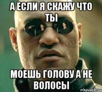 а если я скажу что ты моешь голову а не волосы