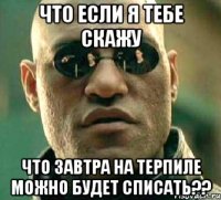 что если я тебе скажу что завтра на терпиле можно будет списать??