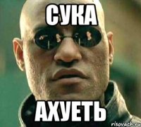 сука ахуеть