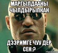 маргылдааны чылдырыпкан дээримге чуу дер сен:?