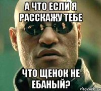 а что если я расскажу тебе что щенок не ебаный?