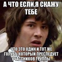 а что если,я скажу тебе что это один и тот же голубь,который преследует участников группы