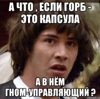 а что , если горб - это капсула а в нём гном-управляющий ?