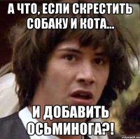 а что, если скрестить собаку и кота... и добавить осьминога?!