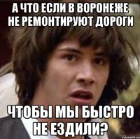 а что если в воронеже не ремонтируют дороги чтобы мы быстро не ездили?