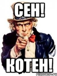 сен! котен!