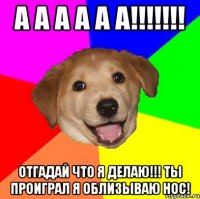 а а а а а а!!! отгадай что я делаю!!! ты проиграл я облизываю нос!